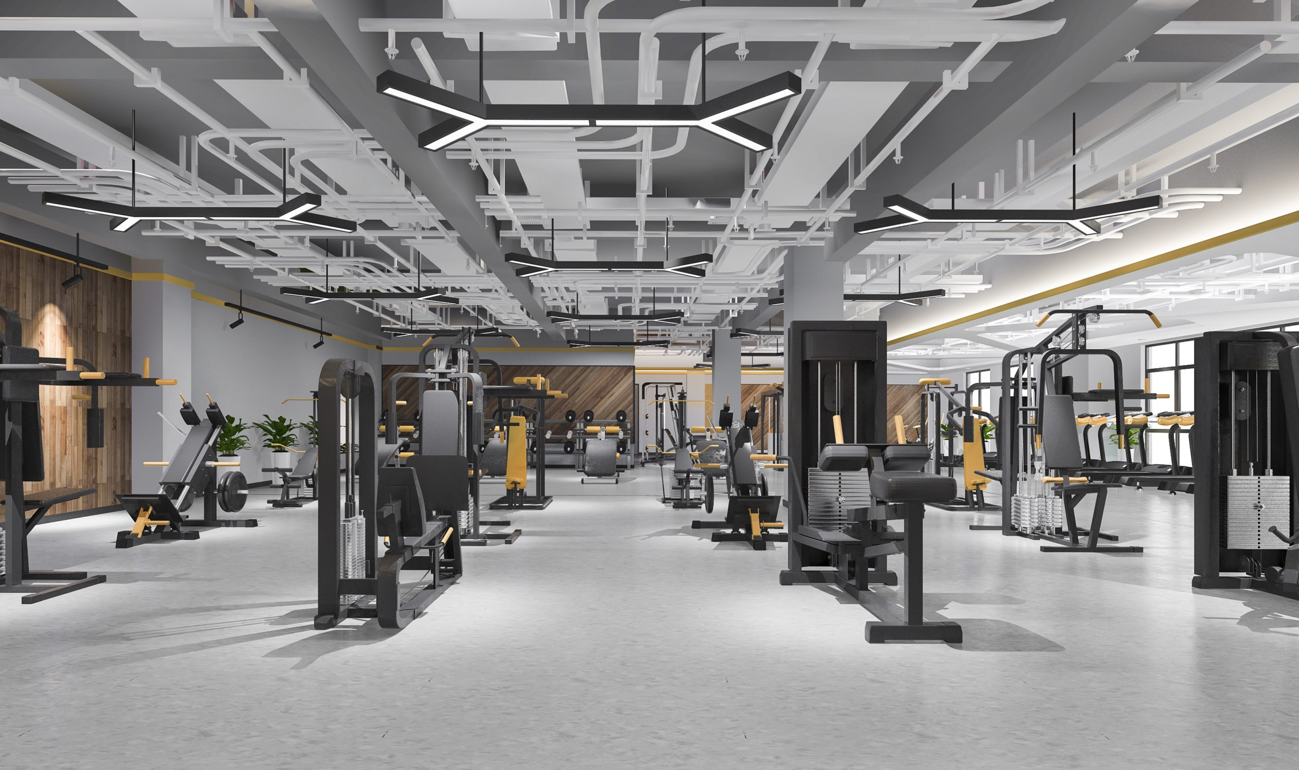 3d rendering modern loft gym and fitness